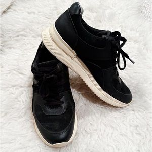 Everlane Tread Trainer Leather Sneakers in Black